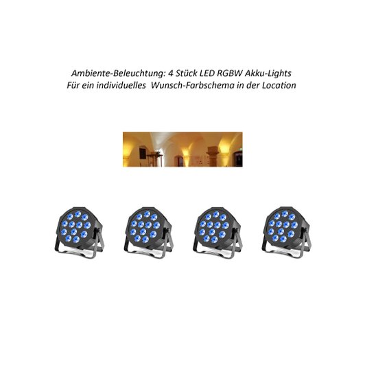 Ambiente-Lights für Hochzeit von DJ Freadmaxx